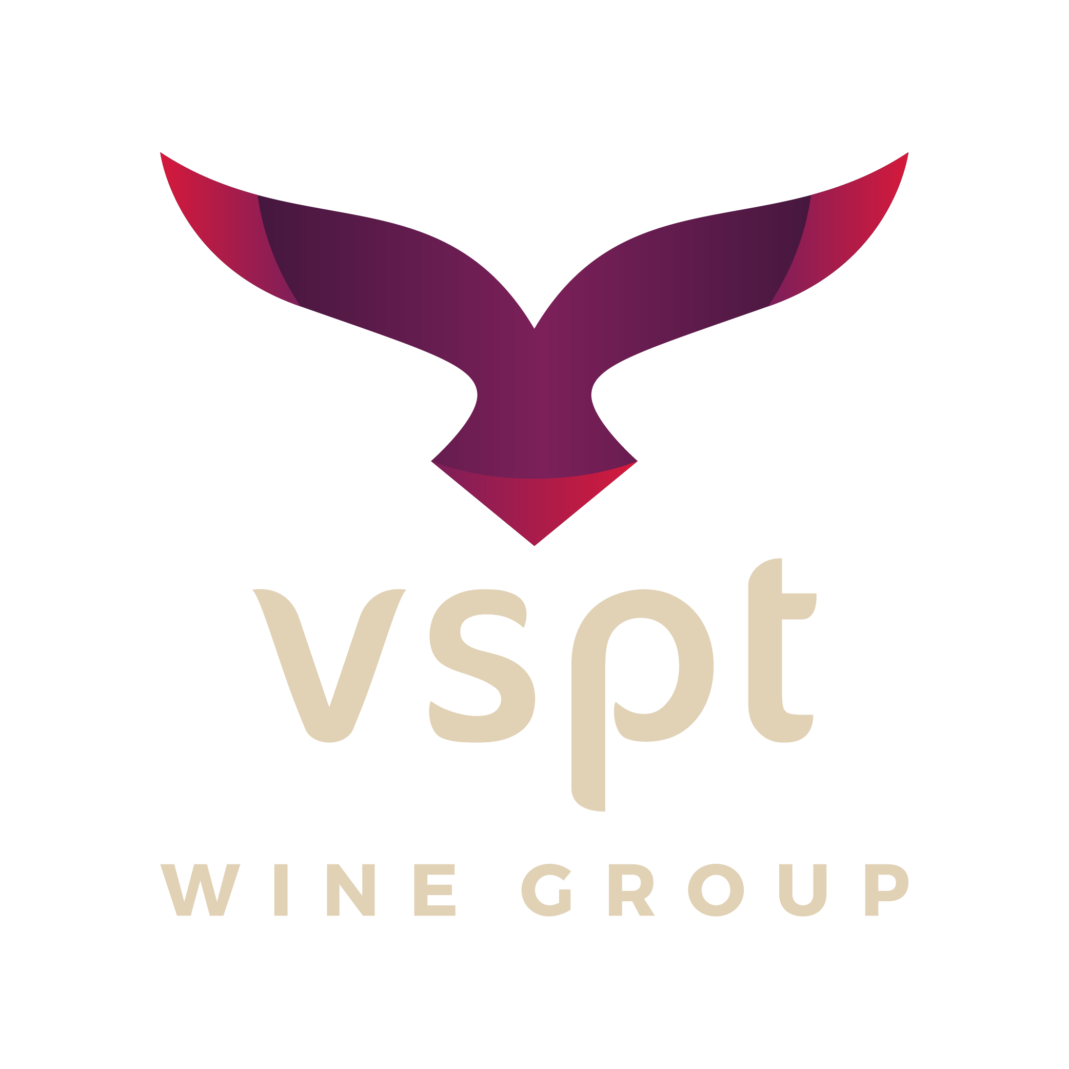 VSPT logo